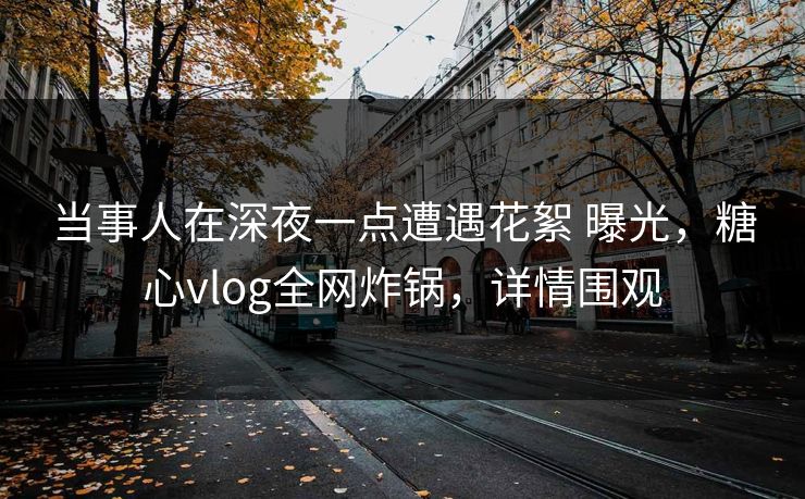 当事人在深夜一点遭遇花絮 曝光，糖心vlog全网炸锅，详情围观